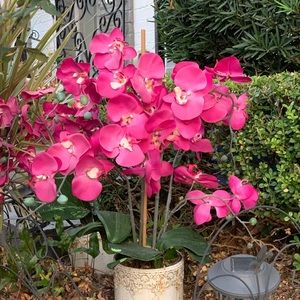 Meet your Posher, Nydia